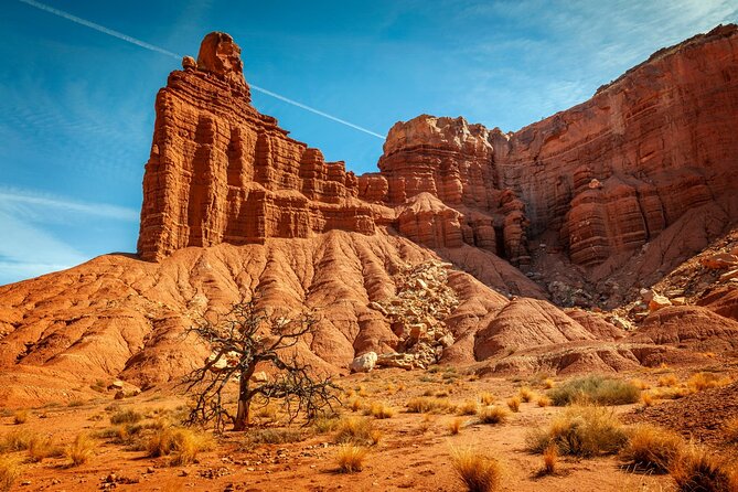 Capitol Reef National Park Self-Driving Audio Tour - Common Questions
