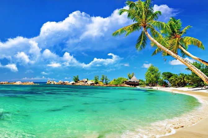 Cham Island Trip by Speed Boat Including Snorkeling From Hoi an or Da Nang - Common Questions