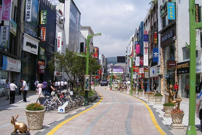 Cherry Blossom Tour in Busan and Jinhae From Busan - Common Questions
