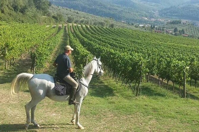 Chianti Region Horse Riding and Tuscan Lunch From Florence - The Sum Up