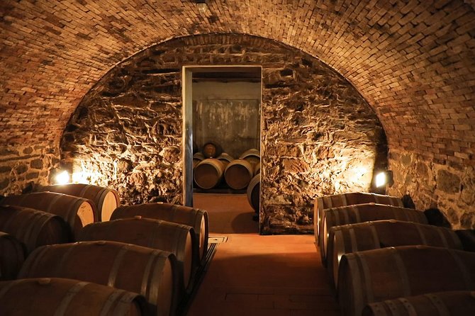 Chianti Wine Tour From Florence - Common Questions