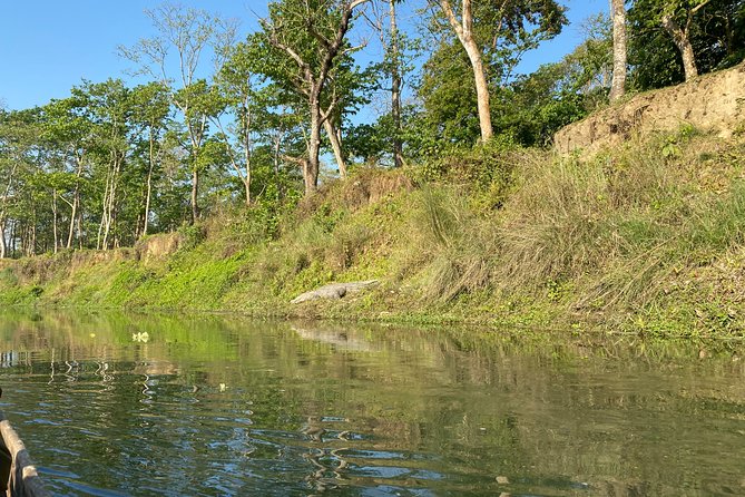 Chitwan Jungle Safari Tour - Common Questions