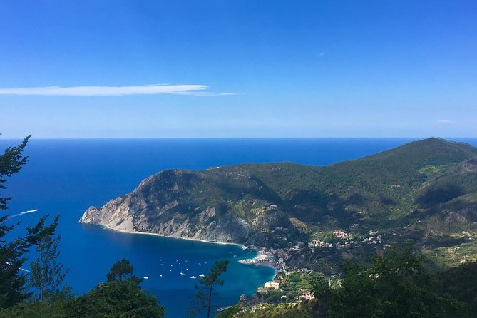 Cinque Terre Private Tour From La Spezia - Traveler Reviews and Ratings