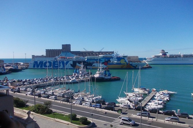 Civitavecchia Port to Rome Private Transfer - Accessibility and Safety Measures