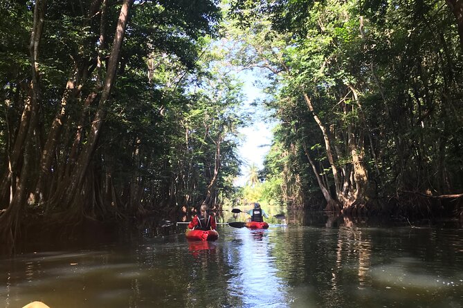 Coastal and River Kayaking Adventure at Marigot Bay - The Sum Up