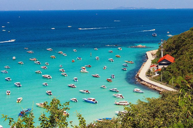 Coral Island (Koh Larn) & Sanctuary of Truth Private Tour From Pattaya –Full Day - Common Questions