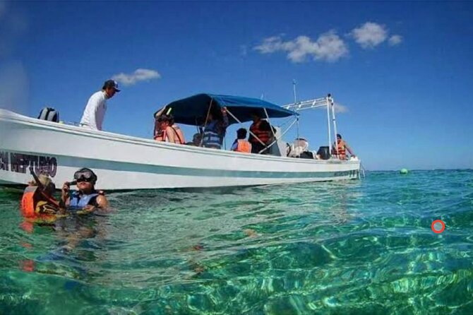 Costa Maya Reef Snorkeling Excursion Beach Day by Lachilangaloense Freeshuffle - The Sum Up