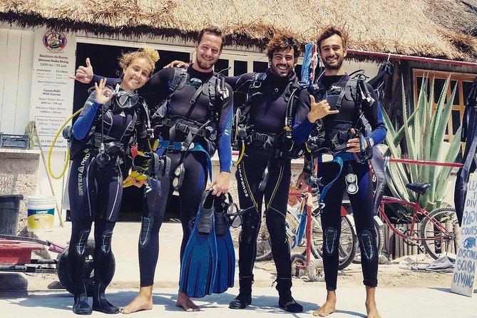 Costa Maya Two-Tank Dive For Certified Divers - The Sum Up