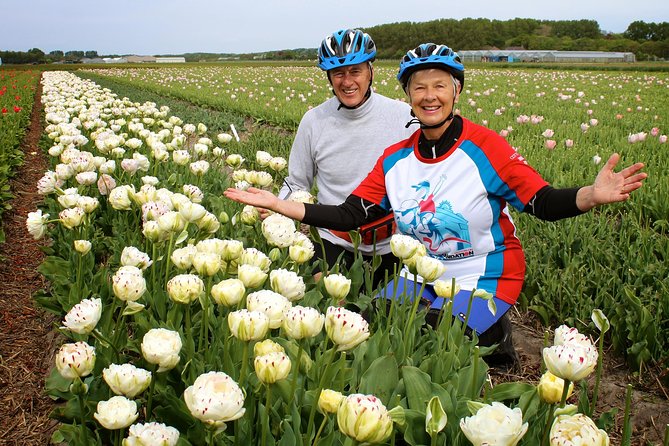 Country of Tulips Tour - The Sum Up