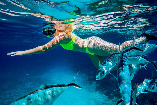 Cozumel Reefs Snorkeling Tour - Availability of Traveler Photos