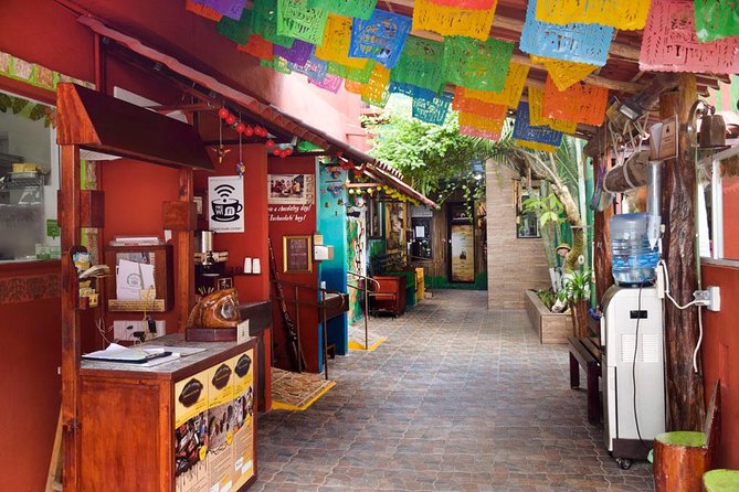 Cozumel Shore Excursion: 5-Hour Sightseeing Tour With Private Driver - Tips and Recommendations