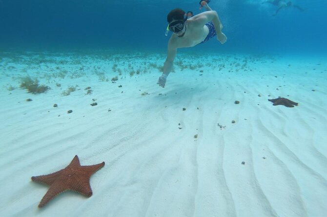 Cozumel Snorkeling Tour: Palancar, Columbia and El Cielo Reefs - The Sum Up