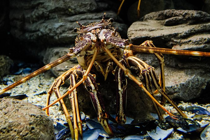 CRETAquarium Entrance Ticket in Crete - Common Questions
