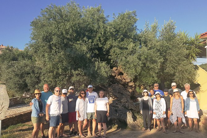 Crete Wine and Olive Oil Tour - The Sum Up
