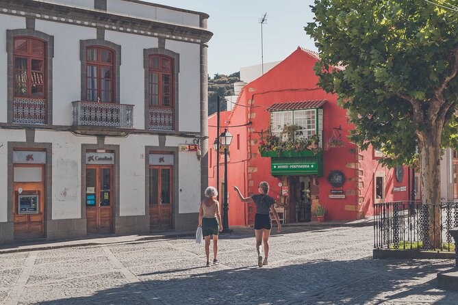 Custom Private & VIP Highlights Tour of Gran Canaria - The Sum Up