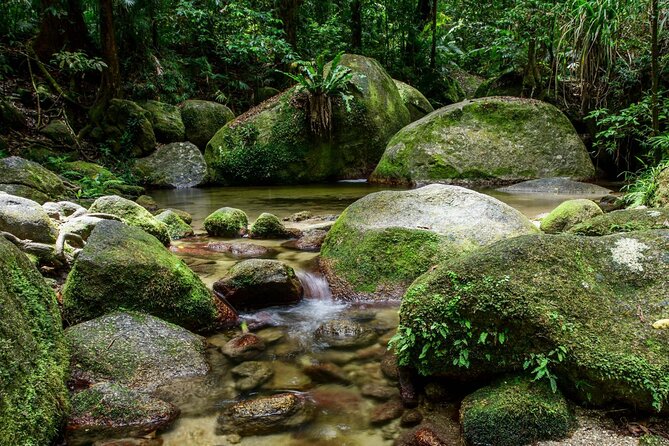Daintree Rainforest, Mossman Gorge & Beach Day Tour W/Aboriginals - The Sum Up