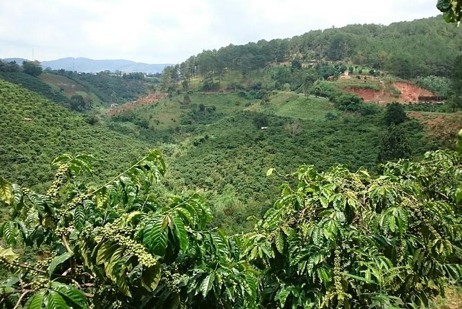 Dalat Countryside Motorbike Full Day Tour - Cancellation Policy