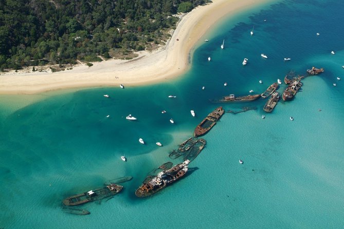 Day Cruise to Tangalooma Island Resort on Moreton Island - Ferry Ride and Potential Risks