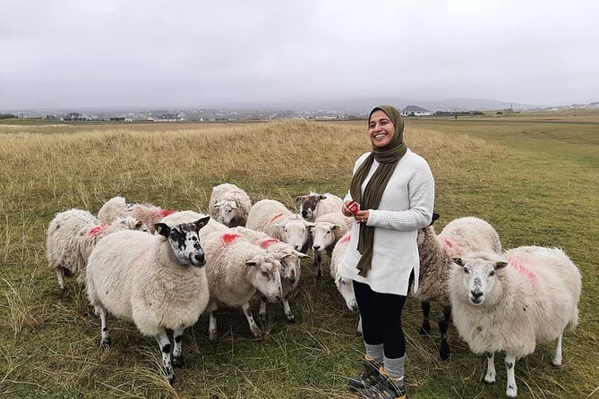 DAY TOUR: Highlights Of South Donegal - The Sum Up