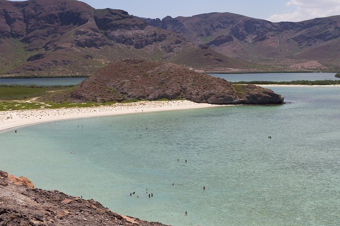 Day Trip to La Paz & Balandra Beach From Cabo San Lucas - The Sum Up