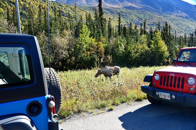 Denali Highway Jeep Excursion - Common Questions