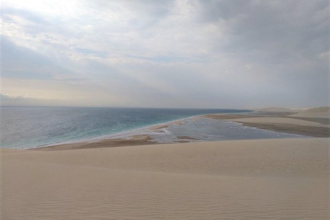 Desert Combo Safari, Camel Ride, Quad Bike and Dune Bashing(All Inclusive) - Common Questions