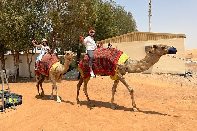 Desert Safari Dubai: Camel Ride, Sandboarding, Live Show & Dinner - Common Questions