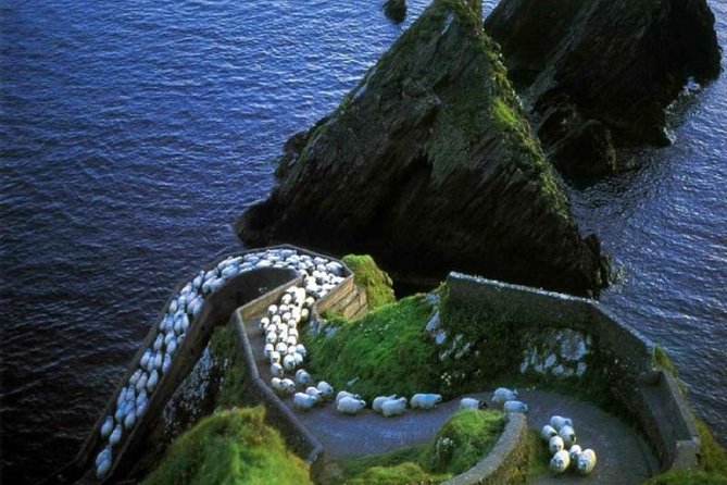 Dingle Peninsula Day Tour From Killarney: Including the Wild Altanic Way - Cancellation Policy