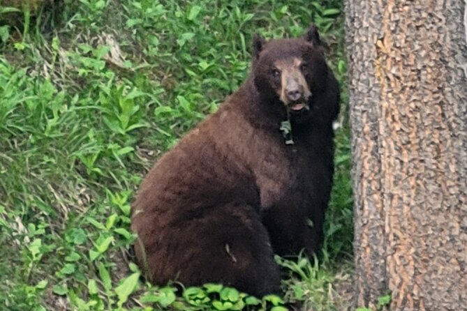 Discover Banff National Park - Day Trip - The Sum Up