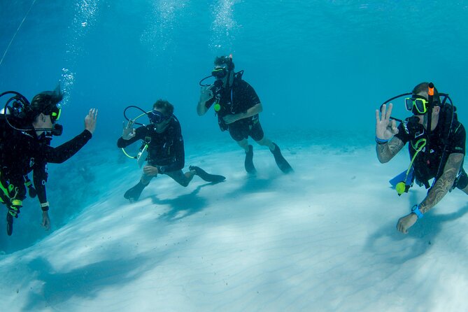 Discover Scuba Dive - The Sum Up