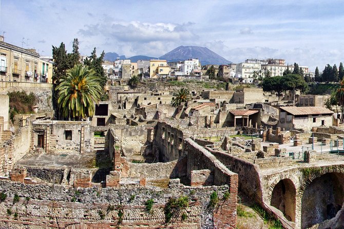 DISCOVERING POMPEII and HERCULANEUM - VIP Tour/Small Group - Additional Information