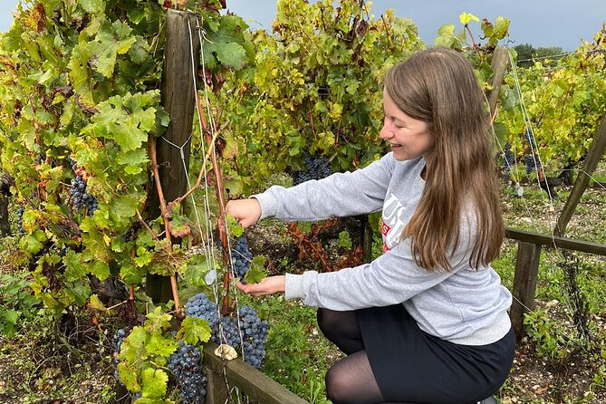 Discovery Day of the Médoc Classified Wines - Private Tour - Personalized Wine Recommendations and Souvenirs