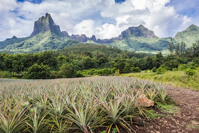 Discovery of Photography in Moorea, Photo Tour & Class - Good To Know