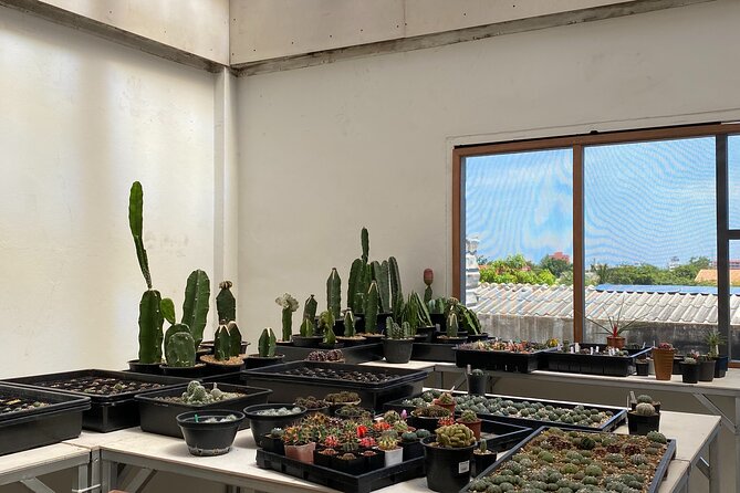 DIY Terrarium Workshop in Hua-Hin - The Sum Up
