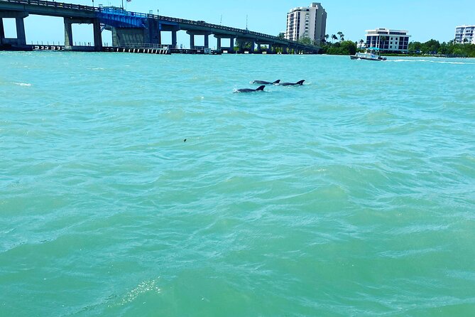 Dolphin Tiki Cruise Around Fort Myers Beach - The Sum Up
