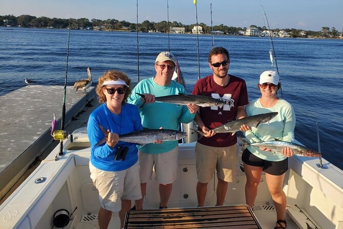 Dolphin Tour & Inshore Fishing Adventure (Flowing Water Charters) - The Sum Up