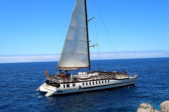Dolphins Watching and Coastal Catamaran Sailing Cruise - Directions