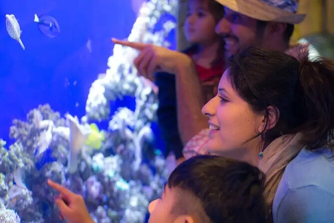 Dubai Aquarium and Underwater Zoo Entry Tickets - Common Questions