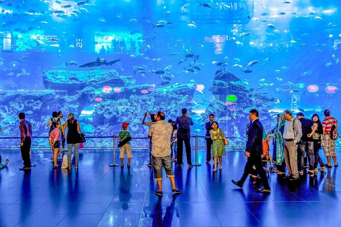 Dubai Aquarium and Underwater Zoo - Common Questions