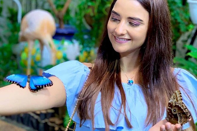 Dubai Butterfly Garden : Skip The Line / Mobile Voucher Accepted - Tips for a Great Experience