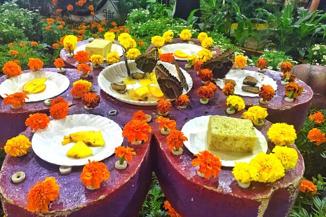 Dubai Butterfly Garden With One-Way Transfer From Dubai - Contact Information and Assistance