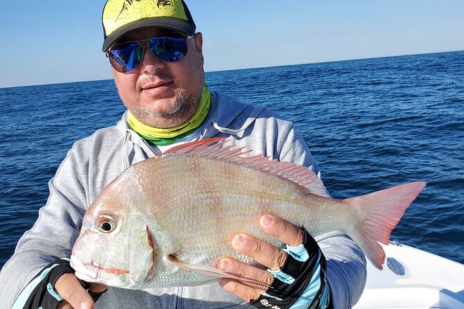 Dubai Private Half-Day Sport Fishing Tour - Tour Highlights