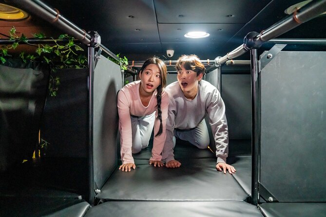 Dynamic Maze Discount Ticket Insa-dong(내국인불가) - The Sum Up