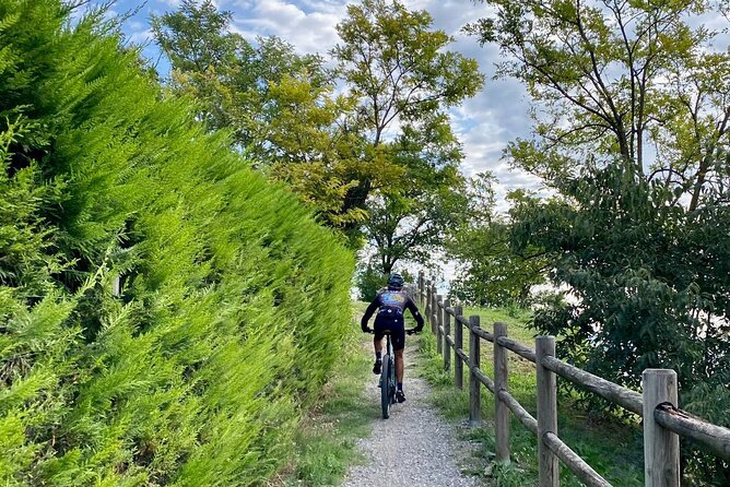 E-Bike Tour and Wine Tasting From Desenzano Inland - Practical Information and Tips for Your Trip