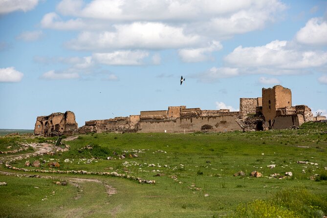 Eastern Turkey 12-Day Sightseeing Tour From Trabzon - The Sum Up