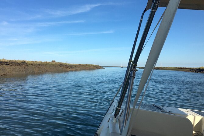 Eco Boat Tour in the Ria Formosa Lagoon From Faro - Overview and Features of the Eco Boat Tour