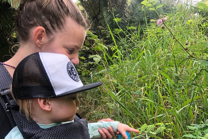 Ecohike Experience Through the Jungle, Mountains and Hidden Beach - Common Questions