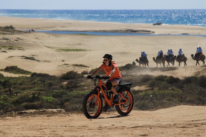 Electric Bike Beach & Deset Tour in Cabo by Cactus Tours Park - Questions and Tour Information