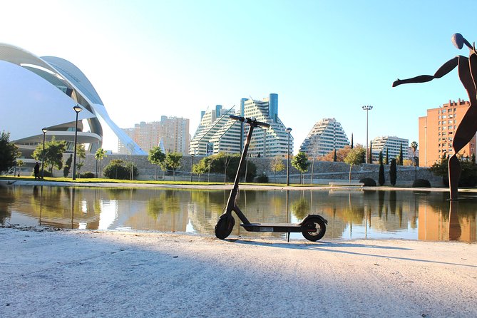 Electric Scooter Rental - Common Questions