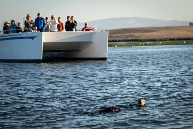 Elkhorn Slough Wildlife Tour - The Sum Up